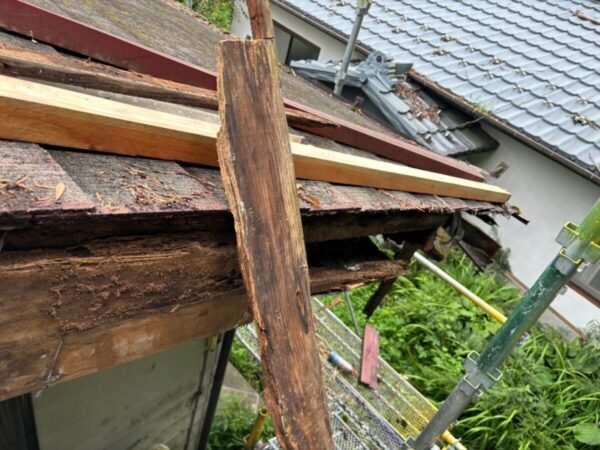 富士宮市猪之頭・カバー工法①腐食と雑草が目立つ屋根を調査4