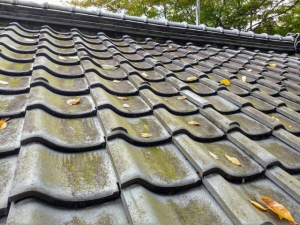 瓦屋根が雨漏りする原因｜プロが見分ける劣化サインと正しい対処法2