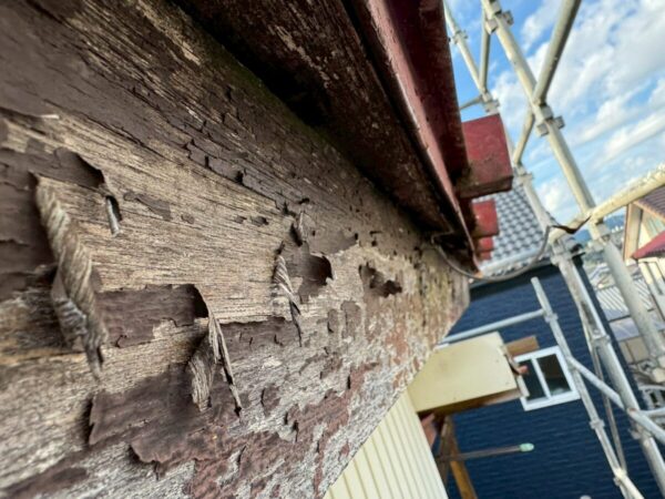 静岡県富士宮市 O様邸 破風板補修 板金巻き 現地調査でわかることは?