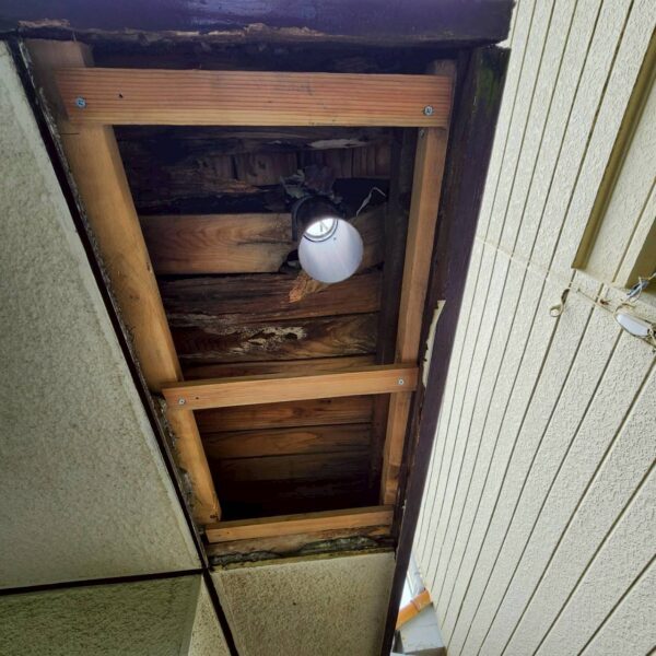 静岡県沼津市　Y様邸　玄関上の庇屋根　カバー工法　軒天と雨樋取り付けで施工完了